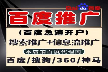 网络推广中竞价广告的投放策略及成功案例